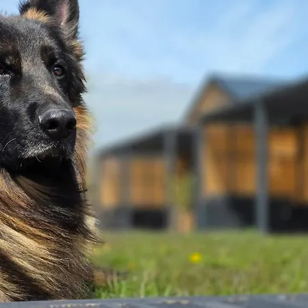 Relaxo - Nad Morzem Z Podgrzewanym Basenem, Placem Zabaw I Strefa Relaksu